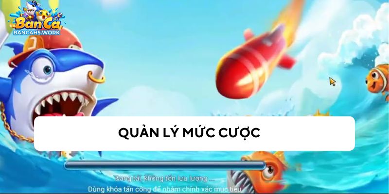 Quản lý tiền cược của bản thân