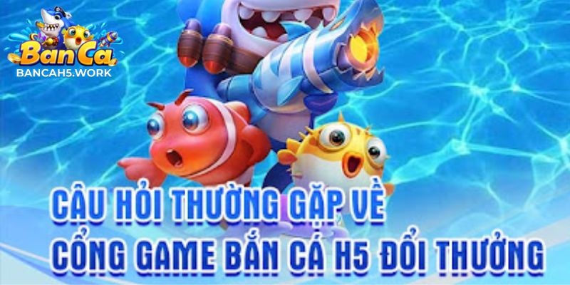 Câu Hỏi Thường Gặp Và Giải Đáp Của Bancah5