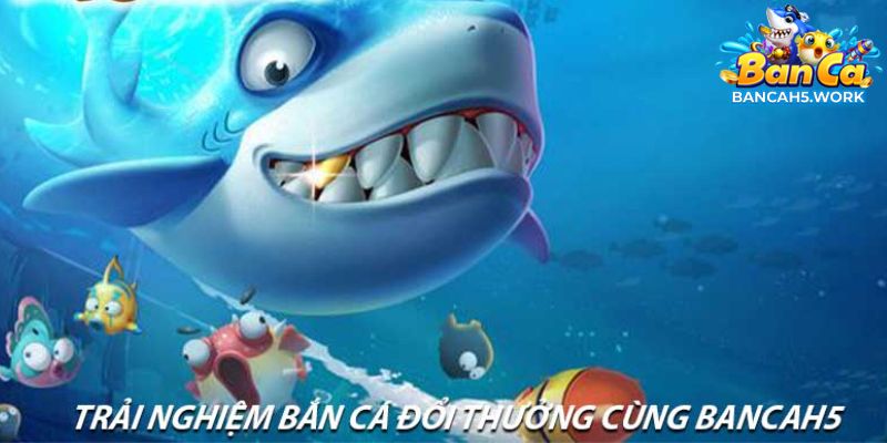 Trải nghiệm bắn cá cung Bancah5